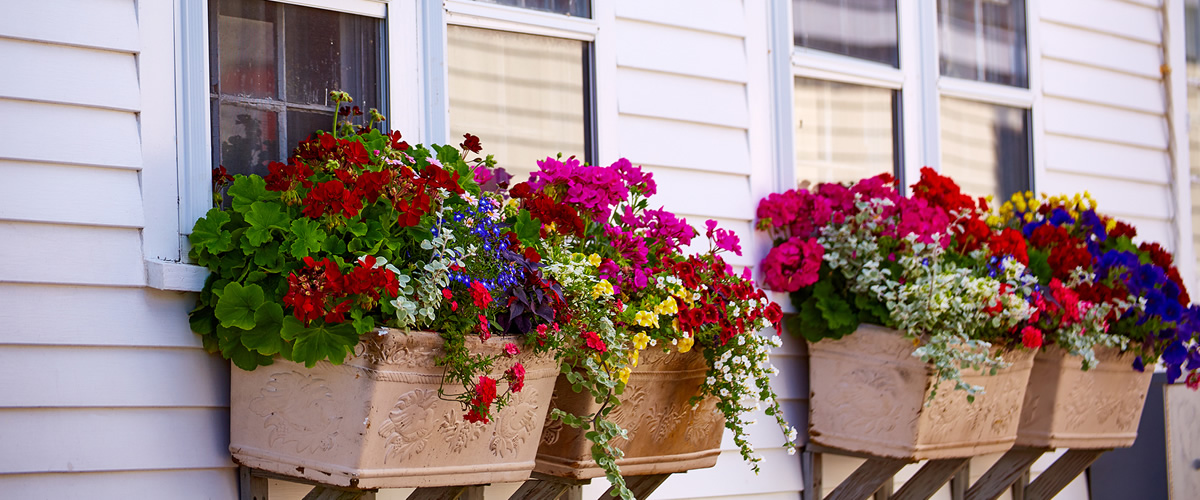 Dubin & Reardon Real Estate Attorneys Cape Cod Martha’s Vineyard